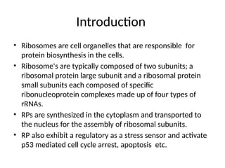 Comprehensive Analysis of Ribosomal Protein Regulation and Bacterial ...