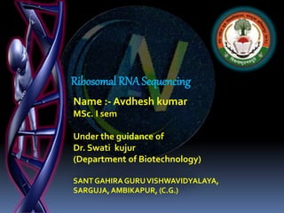 Ribosomal RNA Sequencing
Name :- Avdhesh kumar
MSc. I sem
Under the guidance of
Dr. Swati kujur
(Department of Biotechnology)
SANT GAHIRA GURUVISHWAVIDYALAYA,
SARGUJA, AMBIKAPUR, (C.G.)
 