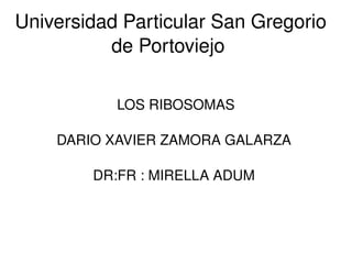    
Universidad Particular San Gregorio 
de Portoviejo 
LOS RIBOSOMAS
 
DARIO XAVIER ZAMORA GALARZA 
DR:FR : MIRELLA ADUM 
 