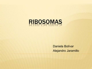 RIBOSOMAS
Daniela Bolívar
Alejandro Jaramillo
 