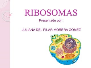 RIBOSOMAS
Presentado por :
JULIANA DEL PILAR MORERA GOMEZ
 