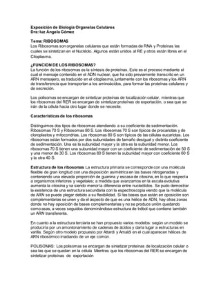 Exposición de Biología Organelas Celulares
Dra: luz Ángela Gómez
Tema: RIBOSOMAS
Los Ribosomas son organelas celulares que están formadas de RNA y Proteínas las
cuales se sintetizan en el Nucléolo. Algunos están unidos al RE y otros están libres en el
Citoplasma.
¿FUNCION DE LOS RIBOSOMAS?
La función de los ribosomas es la síntesis de proteínas. Este es el proceso mediante el
cual el mensaje contenido en el ADN nuclear, que ha sido previamente transcrito en un
ARN mensajero, es traducido en el citoplasma, juntamente con los ribosomas y los ARN
de transferencia que transportan a los aminoácidos, para formar las proteínas celulares y
de secreción.
Los polisomas se encargan de sintetizar proteínas de localización celular, mientras que
los ribosomas del RER se encargan de sintetizar proteínas de exportación, o sea que se
irán de la célula hacia otro lugar donde se necesite.
Características de los ribosomas
Distinguimos dos tipos de ribosomas atendiendo a su coeficiente de sedimentación.
Ribosomas 70 S y Ribosomas 80 S. Los ribosomas 70 S son típicos de procariotas y de
cloroplastos y mitocondrias. Los ribosomas 80 S son típicos de las células eucariotas. Los
ribosomas están formados por dos subunidades de tamaño desigual y distinto coeficiente
de sedimentación. Una es la subunidad mayor y la otra es la subunidad menor. Los
ribosomas 70 S tienen una subunidad mayor con un coeficiente de sedimentación de 50 S
y una menor de 30 S. Los ribosomas 80 S tienen la subunidad mayor con coeficiente 60 S
y la otra 40 S.
Estructura de los ribosomas La estructura primaria se corresponde con una molécula
flexible de gran longitud con una disposición asimétrica en las bases nitrogenadas y
conteniendo una elevada proporción de guanina y escasa de citosina, en lo que respecta
a organismos inferiores y vegetales; a medida que avanzamos en la escala evolutiva
aumenta la citosina y va siendo menor la diferencia entre nucleótidos. Se pudo demostrar
la existencia de una estructura secundaria con la espectroscopia viendo que la molécula
de ARN se puede plegar debido a su flexibilidad. Si las bases que están en oposición son
complementarias se unen y da el aspecto de que es una hélice de ADN, hay otras zonas
donde no hay oposición de bases complementarias y no se produce unión quedando
como asas, a veces seguidos denominándose estructura de trébol que contiene también
un ARN transferente.
En cuanto a la estructura terciaria se han propuesto varios modelos: según un modelo se
produciría por un amontonamiento de cadenas de ácidos y daría lugar a estructuras en
varilla. Según otro modelo propuesto por Attardi y Amaldi en el cual aparecen hélices de
ARN ribosómico irradiando de un eje común.
POLISOMAS: Los polisomas se encargan de sintetizar proteínas de localización celular o
sea las que se quedan en la célula Mientras que los ribosomas del RER se encargan de
sintetizar proteínas de exportación
 