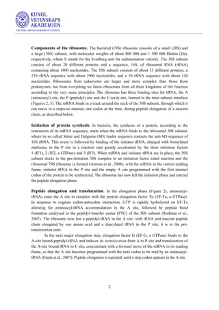 Structure and function of the ribosome | PDF
