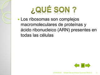  Los ribosomas son complejos
macromoleculares de proteínas y
ácido ribonucleico (ARN) presentes en
todas las células
27/05/2018 Rafael Steven Alvear Guerrero MVZ-A 3
 