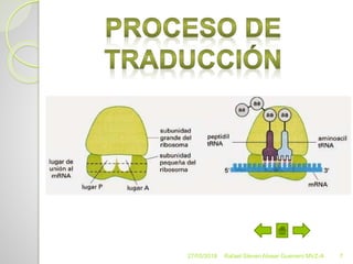 27/05/2018 Rafael Steven Alvear Guerrero MVZ-A 7
 