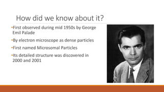 How did we know about it?
•First observed during mid 1950s by George
Emil Palade
•By electron microscope as dense particles
•First named Microsomal Particles
•Its detailed structure was discovered in
2000 and 2001
 