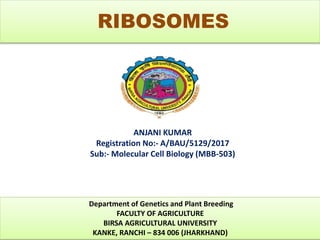 RIBOSOMES
Department of Genetics and Plant Breeding
FACULTY OF AGRICULTURE
BIRSA AGRICULTURAL UNIVERSITY
KANKE, RANCHI – 834 006 (JHARKHAND)
ANJANI KUMAR
Registration No:- A/BAU/5129/2017
Sub:- Molecular Cell Biology (MBB-503)
 