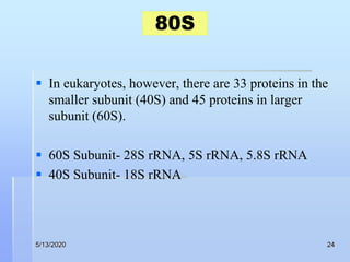 Ribosome by kk sahu sir | PPT