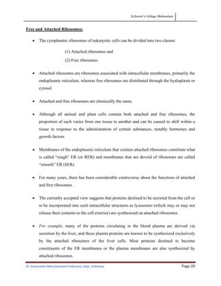 St.Xavier’s College, Mahuadanr
Dr. Emasushan Minj (Assistant Professor), Dept. of Botany Page 20
Free and Attached Ribosomes:
• The cytoplasmic ribosomes of eukaryotic cells can be divided into two classes:
(1) Attached ribosomes and
(2) Free ribosomes
• Attached ribosomes are ribosomes associated with intracellular membranes, primarily the
endoplasmic reticulum, whereas free ribosomes are distributed through the hyaloplasm or
cytosol.
• Attached and free ribosomes are chemically the same.
• Although all animal and plant cells contain both attached and free ribosomes, the
proportion of each varies from one tissue to another and can be caused to shift within a
tissue in response to the administration of certain substances, notably hormones and
growth factors.
• Membranes of the endoplasmic reticulum that contain attached ribosomes constitute what
is called “rough” ER (or RER) and membranes that are devoid of ribosomes are called
“smooth” ER (SER).
• For many years, there has been considerable controversy about the functions of attached
and free ribosomes.
• The currently accepted view suggests that proteins destined to be secreted from the cell or
to be incorporated into such intracellular structures as lysosomes (which may or may not
release their contents to the cell exterior) are synthesized on attached ribosomes.
• For example, many of the proteins circulating in the blood plasma are derived via
secretion by the liver, and these plasma proteins are known to be synthesized exclusively
by the attached ribosomes of the liver cells. Most proteins destined to become
constituents of the ER membranes or the plasma membranes are also synthesized by
attached ribosomes.
 