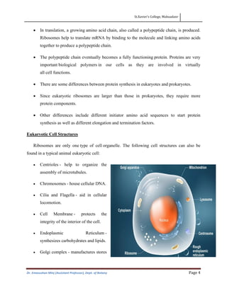 St.Xavier’s College, Mahuadanr
Dr. Emasushan Minj (Assistant Professor), Dept. of Botany Page 4
• In translation, a growing amino acid chain, also called a polypeptide chain, is produced.
Ribosomes help to translate mRNA by binding to the molecule and linking amino acids
together to produce a polypeptide chain.
• The polypeptide chain eventually becomes a fully functioning protein. Proteins are very
important biological polymers in our cells as they are involved in virtually
all cell functions.
• There are some differences between protein synthesis in eukaryotes and prokaryotes.
• Since eukaryotic ribosomes are larger than those in prokaryotes, they require more
protein components.
• Other differences include different initiator amino acid sequences to start protein
synthesis as well as different elongation and termination factors.
Eukaryotic Cell Structures
Ribosomes are only one type of cell organelle. The following cell structures can also be
found in a typical animal eukaryotic cell:
• Centrioles - help to organize the
assembly of microtubules.
• Chromosomes - house cellular DNA.
• Cilia and Flagella - aid in cellular
locomotion.
• Cell Membrane - protects the
integrity of the interior of the cell.
• Endoplasmic Reticulum -
synthesizes carbohydrates and lipids.
• Golgi complex - manufactures stores
 