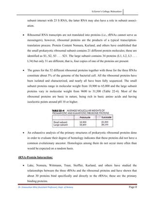 St.Xavier’s College, Mahuadanr
Dr. Emasushan Minj (Assistant Professor), Dept. of Botany Page 8
subunit interact with 23 S RNA, the latter RNA may also have a role in subunit associ-
ation.
• Ribosomal RNA transcripts are not translated into proteins (i.e., rRNAs cannot serve as
messengers), however, ribosomal proteins are the products of a typical transcription-
translation process. Protein Content Nomura, Kurland, and others have established that
the small prokaryotic ribosomal subunit contains 21 different protein molecules; these are
identified as S1, S2, S3 . . . S21. The large subunit contains 34 proteins (L1, L2, L3 . . .
L34) but only 31 are different, that is, four copies of one of the proteins are present.
• The genes for the 52 different ribosomal proteins together with those for the three RNAs
constitute about 5% of the genome of the bacterial cell. All the ribosomal proteins have
been isolated and characterized, and nearly all have been fully sequenced. The small
subunit proteins range in molecular weight from 10,900 to 65,000 and the large subunit
proteins vary in molecular weight from 9600 to 31,500 (Table 22-4). Most of the
ribosomal proteins are basic in nature, being rich in basic amino acids and having
isoelectric points around pH 10 or higher.
• An exhaustive analysis of the primary structures of prokaryotic ribosomal proteins done
in order to evaluate their degree of homology indicates that these proteins did not have a
common evolutionary ancestor. Homologies among them do not occur more often than
would be expected on a random basis.
tRNA-Protein Interaction:
• Lake, Nomura, Wittmann, Traut, Stoffler, Kurland, and others have studied the
relationships between the three rRNAs and the ribosomal proteins and have shown that
about 30 proteins bind specifically and directly to the rRNAs; these are the primary
binding proteins.
 