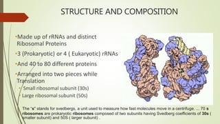 Ribosome - LMS.pptx