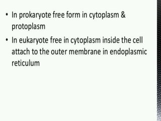 Ribosome structure and functions.ppt