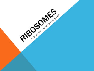 RIBOSOMES THE BEST ORGANELLE EVER 