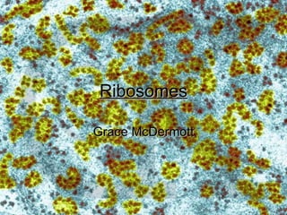 Ribosomes Grace McDermott 