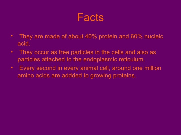 what is nucleic acid