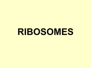 RIBOSOMES 
