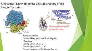 Ribosomes: Unravelling the Crystal structure of the
Protein Factories
Name: D.Sairam
Course: Bioorganic and Bioinorganic
Chemistry
Course Code: BSBT-211
Presentation Code: U1P1
Course Instructor : Dr. Vineet Sharma
 