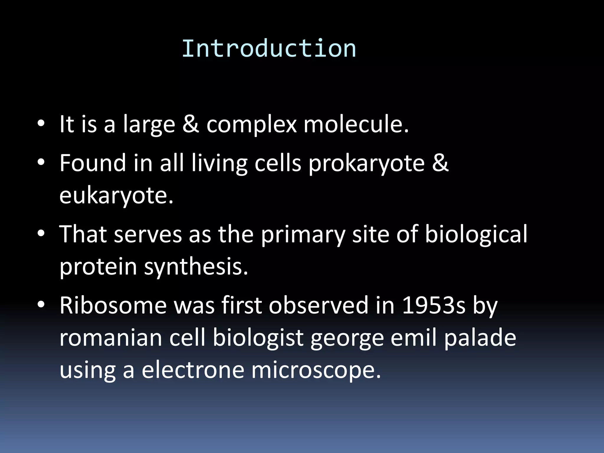 Ribosomes | PPT