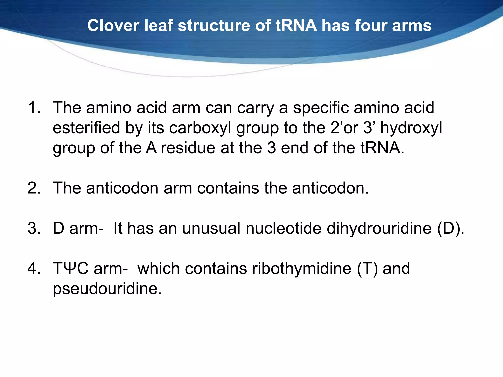 1. The amino acid arm can carry a specific amino acid
esterified by its carboxyl group to the 2’or 3’ hydroxyl
group of the A residue at the 3 end of the tRNA.
2. The anticodon arm contains the anticodon.
3. D arm- It has an unusual nucleotide dihydrouridine (D).
4. TΨC arm- which contains ribothymidine (T) and
pseudouridine.
Clover leaf structure of tRNA has four arms
 