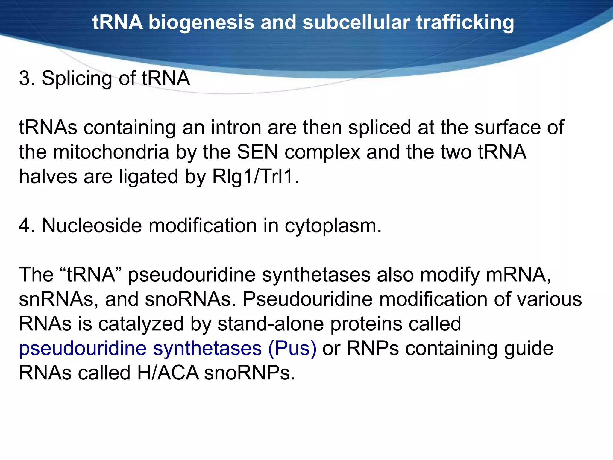 tRNA biogenesis and subcellular trafficking
3. Splicing of tRNA
tRNAs containing an intron are then spliced at the surface of
the mitochondria by the SEN complex and the two tRNA
halves are ligated by Rlg1/Trl1.
4. Nucleoside modification in cytoplasm.
The “tRNA” pseudouridine synthetases also modify mRNA,
snRNAs, and snoRNAs. Pseudouridine modification of various
RNAs is catalyzed by stand-alone proteins called
pseudouridine synthetases (Pus) or RNPs containing guide
RNAs called H/ACA snoRNPs.
 
