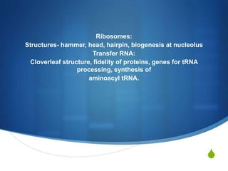 S
Ribosomes:
Structures- hammer, head, hairpin, biogenesis at nucleolus
Transfer RNA:
Cloverleaf structure, fidelity of proteins, genes for tRNA
processing, synthesis of
aminoacyl tRNA.
 