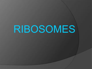 RIBOSOMES
 