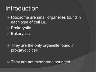 Ribosomes.pptx