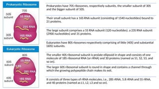 ribosomes.pptx onto he baids eid rei biological | PPTX
