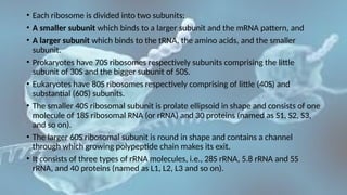 Notes On Ribosomes Short notes on ribosomes, importance, prokaryotic and eukaryotic ...