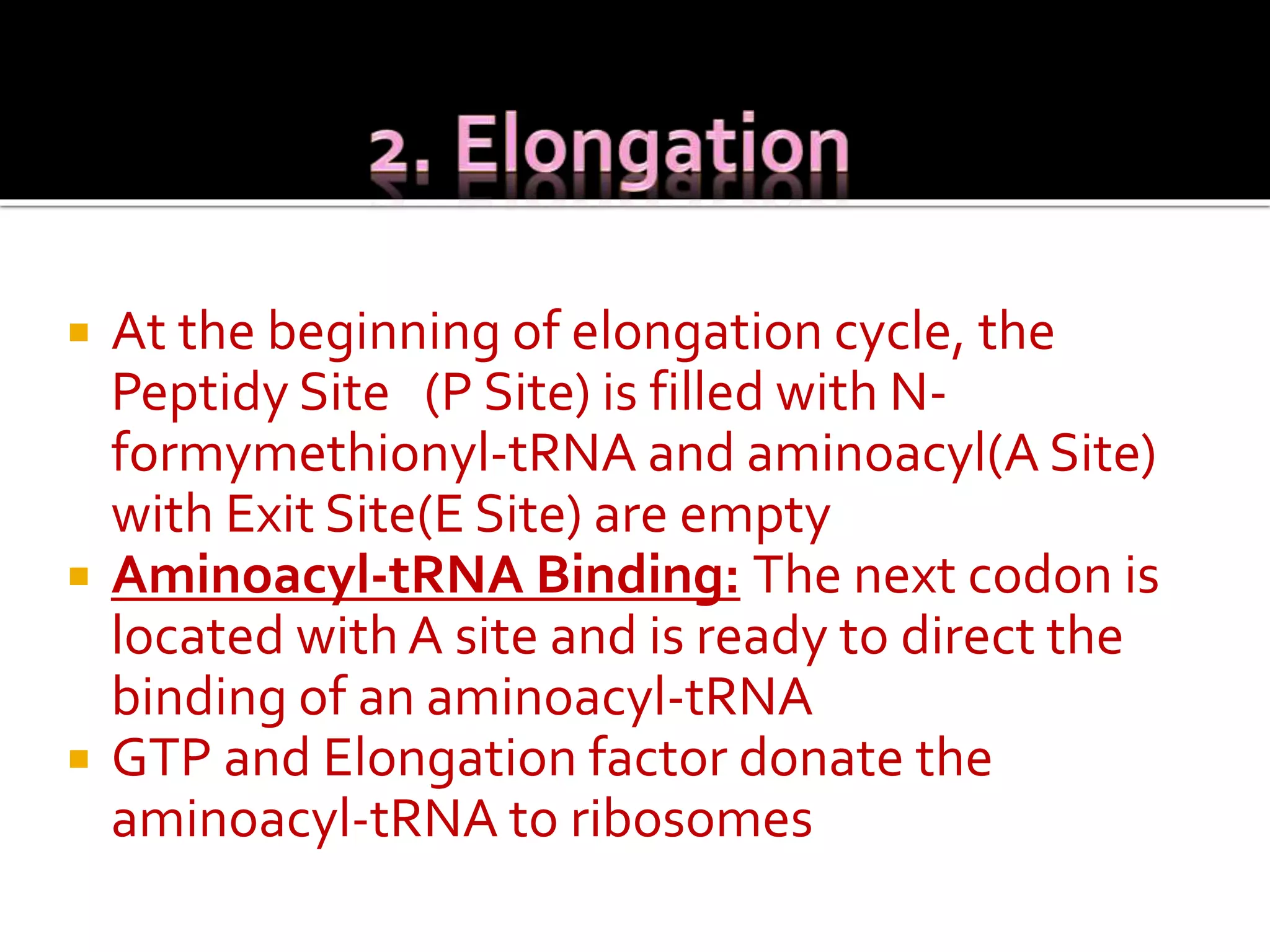  At the beginning of elongation cycle, the
Peptidy Site (P Site) is filled with N-
formymethionyl-tRNA and aminoacyl(A Site)
with Exit Site(E Site) are empty
 Aminoacyl-tRNA Binding: The next codon is
located with A site and is ready to direct the
binding of an aminoacyl-tRNA
 GTP and Elongation factor donate the
aminoacyl-tRNA to ribosomes
 