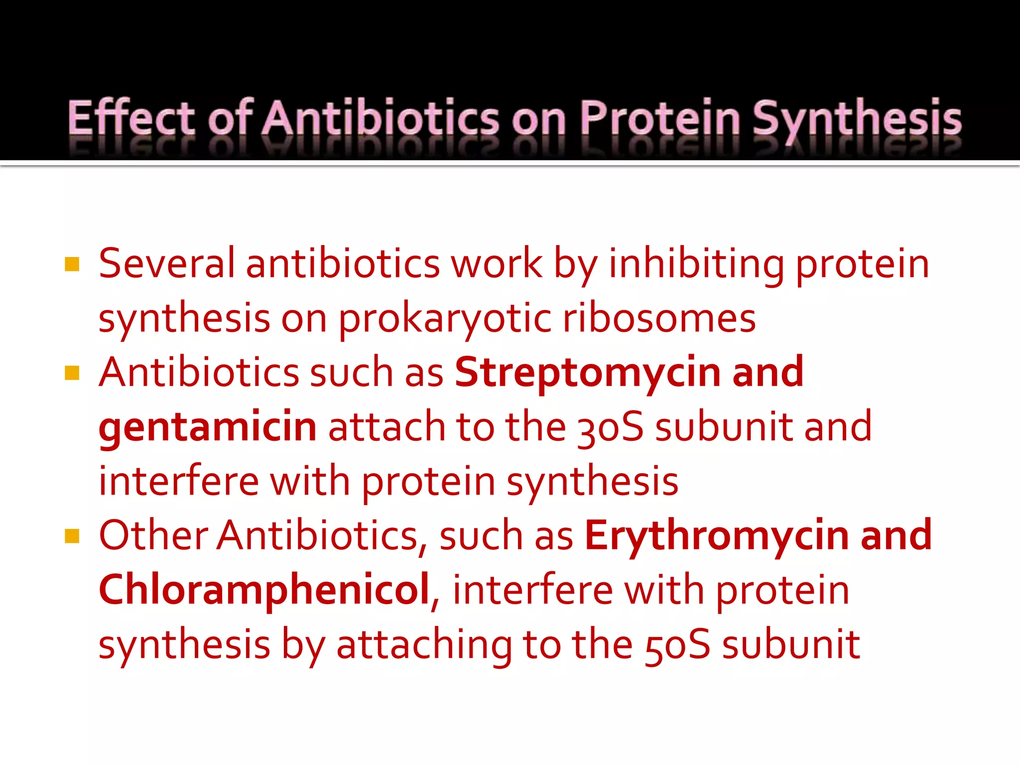  Several antibiotics work by inhibiting protein
synthesis on prokaryotic ribosomes
 Antibiotics such as Streptomycin and
gentamicin attach to the 30S subunit and
interfere with protein synthesis
 OtherAntibiotics, such as Erythromycin and
Chloramphenicol, interfere with protein
synthesis by attaching to the 50S subunit
 