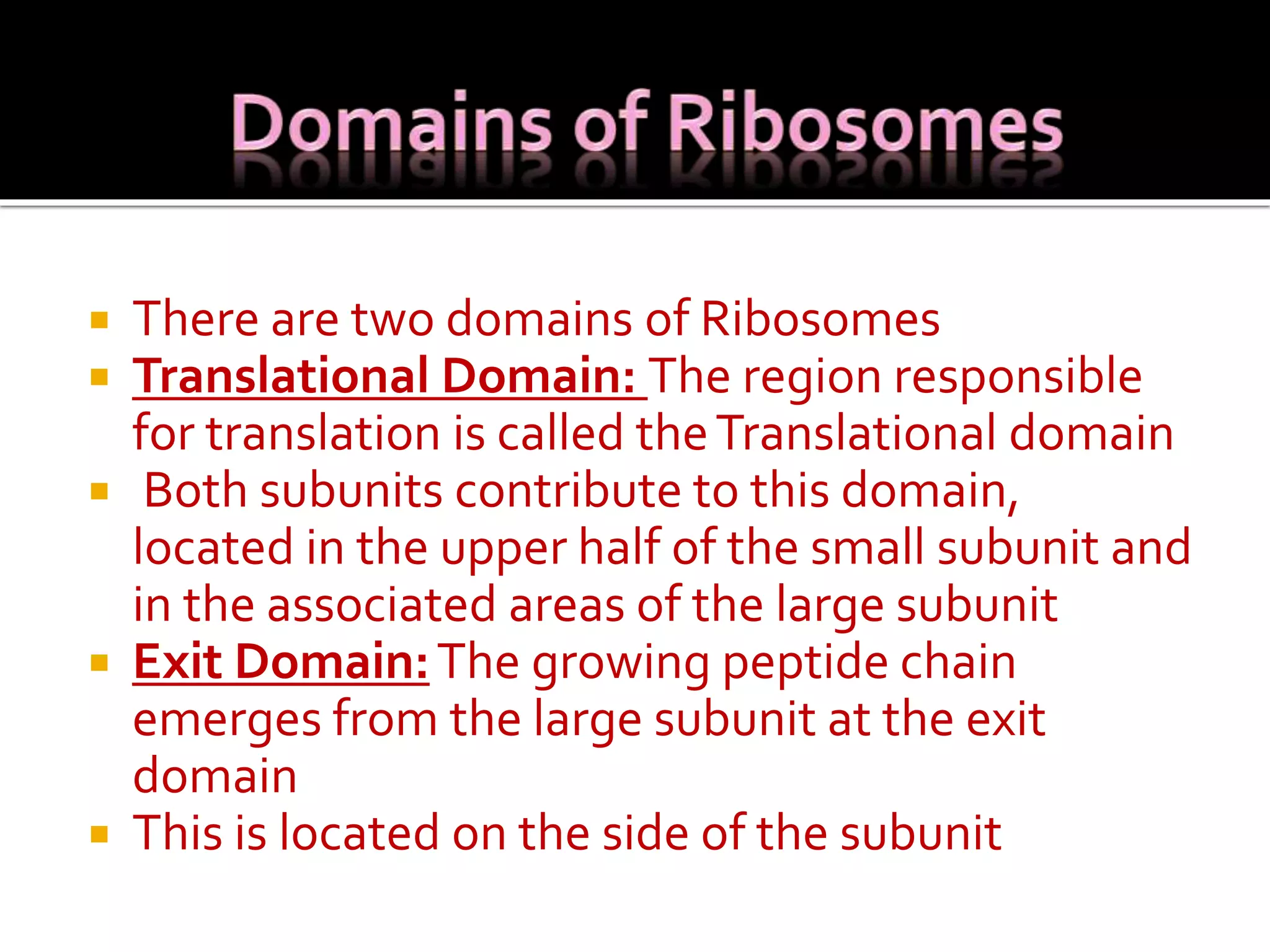  There are two domains of Ribosomes
 Translational Domain: The region responsible
for translation is called theTranslational domain
 Both subunits contribute to this domain,
located in the upper half of the small subunit and
in the associated areas of the large subunit
 Exit Domain:The growing peptide chain
emerges from the large subunit at the exit
domain
 This is located on the side of the subunit
 