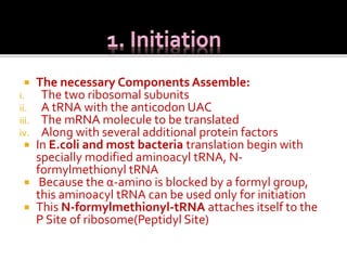  The necessary Components Assemble:
i. The two ribosomal subunits
ii. A tRNA with the anticodon UAC
iii. The mRNA molecule to be translated
iv. Along with several additional protein factors
 In E.coli and most bacteria translation begin with
specially modified aminoacyl tRNA, N-
formylmethionyl tRNA
 Because the α-amino is blocked by a formyl group,
this aminoacyl tRNA can be used only for initiation
 This N-formylmethionyl-tRNA attaches itself to the
P Site of ribosome(Peptidyl Site)
 