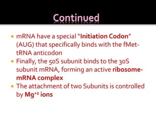  mRNA have a special “Initiation Codon”
(AUG) that specifically binds with the fMet-
tRNA anticodon
 Finally, the 50S subunit binds to the 30S
subunit mRNA, forming an active ribosome-
mRNA complex
 The attachment of two Subunits is controlled
by Mg+2 ions
 