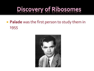  Palade was the first person to study them in
1955
 