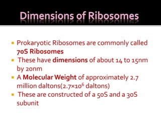  Prokaryotic Ribosomes are commonly called
70S Ribosomes
 These have dimensions of about 14 to 15nm
by 20nm
 A Molecular Weight of approximately 2.7
million daltons(2.7×106 daltons)
 These are constructed of a 50S and a 30S
subunit
 