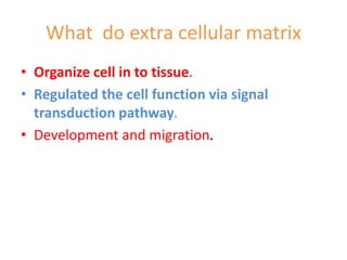 Ribosomes and extra cellular matrix | PPTX