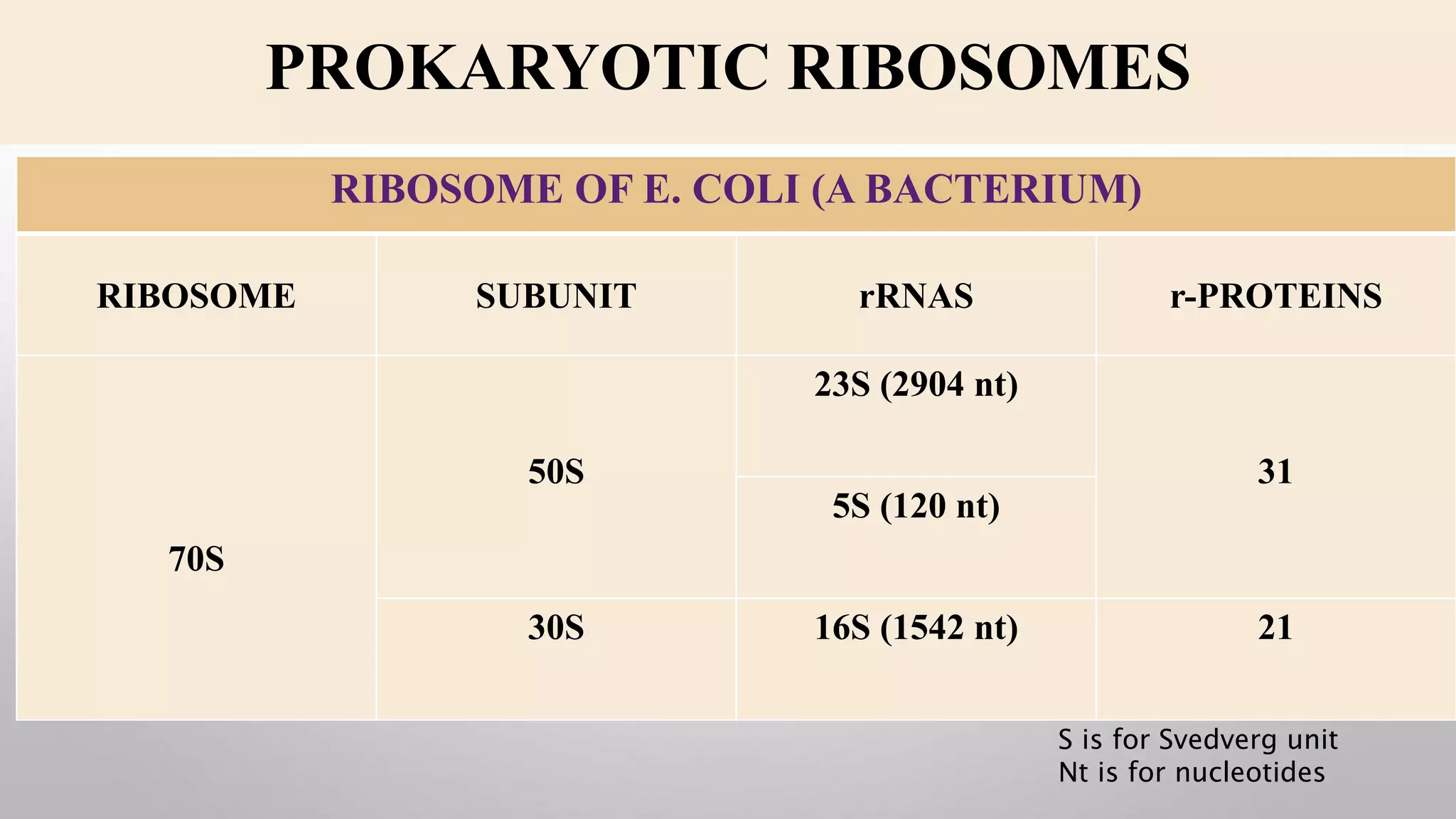 Ribosomes by kajal.pptx