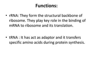 Functions:
• rRNA: They form the structural backbone of
ribosome. They play key role in the binding of
mRNA to ribosome and its translation.
• tRNA : It has act as adaptor and it transfers
specific amino acids during protein synthesis.
 