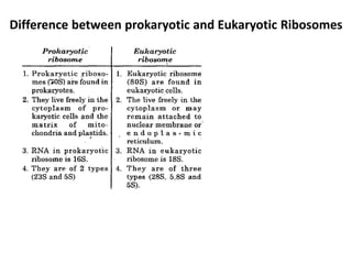 Difference between prokaryotic and Eukaryotic Ribosomes
 