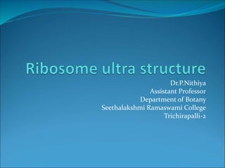 Dr.P.Nithiya
Assistant Professor
Department of Botany
Seethalakshmi Ramaswami College
Trichirapalli-2
 