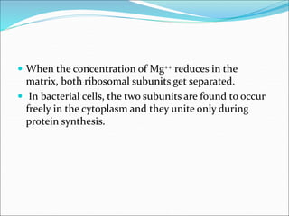  When the concentration of Mg++ reduces in the
matrix, both ribosomal subunits get separated.
 In bacterial cells, the two subunits are found to occur
freely in the cytoplasm and they unite only during
protein synthesis.
 