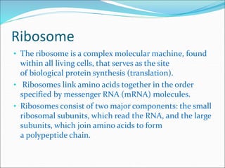 Ribosome
• The ribosome is a complex molecular machine, found
within all living cells, that serves as the site
of biological protein synthesis (translation).
• Ribosomes link amino acids together in the order
specified by messenger RNA (mRNA) molecules.
• Ribosomes consist of two major components: the small
ribosomal subunits, which read the RNA, and the large
subunits, which join amino acids to form
a polypeptide chain.
 