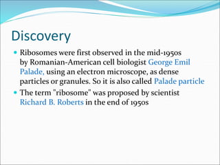 Discovery
 Ribosomes were first observed in the mid-1950s
by Romanian-American cell biologist George Emil
Palade, using an electron microscope, as dense
particles or granules. So it is also called Palade particle
 The term "ribosome" was proposed by scientist
Richard B. Roberts in the end of 1950s
 
