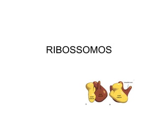 RIBOSSOMOS

 