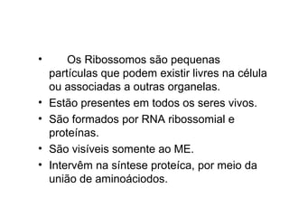 •
•
•
•
•
Os Ribossomos são pequenas
partículas que podem existir livres na célula
ou associadas a outras organelas.
Estão presentes em todos os seres vivos.
São formados por RNA ribossomial e
proteínas.
São visíveis somente ao ME.
Intervêm na síntese proteíca, por meio da
união de aminoáciodos.