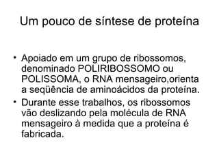 Um pouco de síntese de proteína
• Apoiado em um grupo de ribossomos,
denominado POLIRIBOSSOMO ou
POLISSOMA, o RNA mensageiro,orienta
a seqüência de aminoácidos da proteína.
• Durante esse trabalhos, os ribossomos
vão deslizando pela molécula de RNA
mensageiro à medida que a proteína é
fabricada.