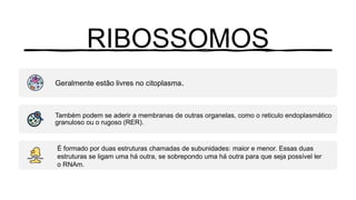 RIBOSSOMOS
Geralmente estão livres no citoplasma.
Também podem se aderir a membranas de outras organelas, como o reticulo endoplasmático
granuloso ou o rugoso (RER).
É formado por duas estruturas chamadas de subunidades: maior e menor. Essas duas
estruturas se ligam uma há outra, se sobrepondo uma há outra para que seja possível ler
o RNAm.
 