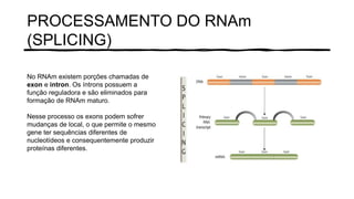 PROCESSAMENTO DO RNAm
(SPLICING)
No RNAm existem porções chamadas de
exon e intron. Os íntrons possuem a
função reguladora e são eliminados para
formação de RNAm maturo.
Nesse processo os exons podem sofrer
mudanças de local, o que permite o mesmo
gene ter sequências diferentes de
nucleotídeos e consequentemente produzir
proteínas diferentes.
 